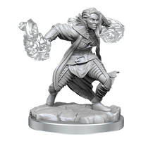 D&D: Nolzur's Marvelous Miniatures - Half-Elf Warlock
