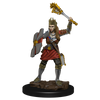 D&D: Icons of the Realms - Human Cleric Female