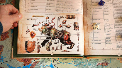 Wondrous Expeditions – Forests (Softcover)