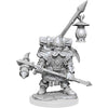 D&D Frameworks Wave 1: Dwarf Fighter Male - Miniature