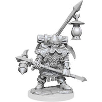 D&D Frameworks Wave 1: Dwarf Fighter Male - Miniature