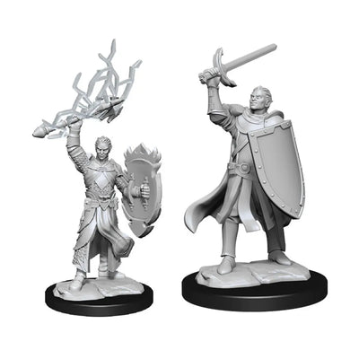 D&D Nolzur's Marvelous Miniatures: Half-Elf Paladin