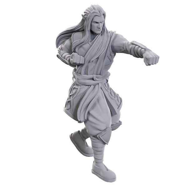 D&D: Nolzur's Marvelous Miniatures - Archdruid & Martial Arts Adept