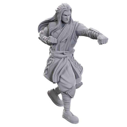 D&D: Nolzur's Marvelous Miniatures - Archdruid & Martial Arts Adept