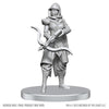 D&D Nolzur's Marvelous Miniatures: Assassin & Berserker