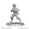D&D Nolzur's Marvelous Miniatures: Satyr & Dryad