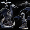 Adult Black Dragon