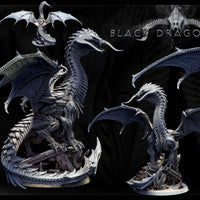 Adult Black Dragon