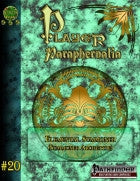 Player Paraphernalia #20 The Elemental Summoner