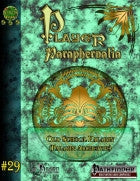 Player Paraphernalia #29 The Old School Paladin (Archetype)