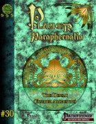 Player Paraphernalia #30 The Kensai (Archetype)