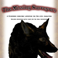 The Missing Surveyors