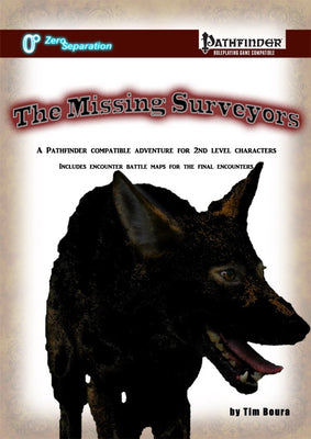 The Missing Surveyors