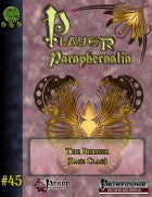 Player Paraphernalia #45 The Bruiser (Base Class)