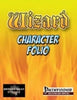 Wizard Character Portfolio