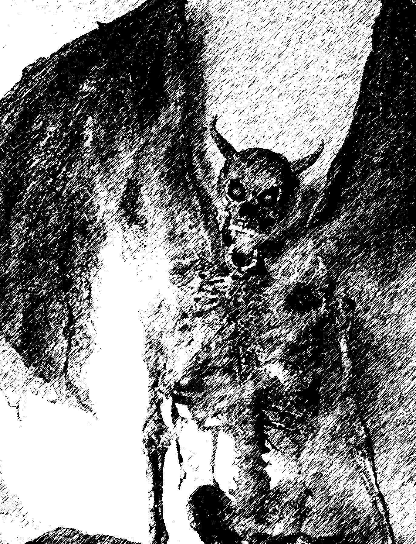 Journals of Dread Vol. II: Secrets of the Skeleton - Pathfinder 1e Undead